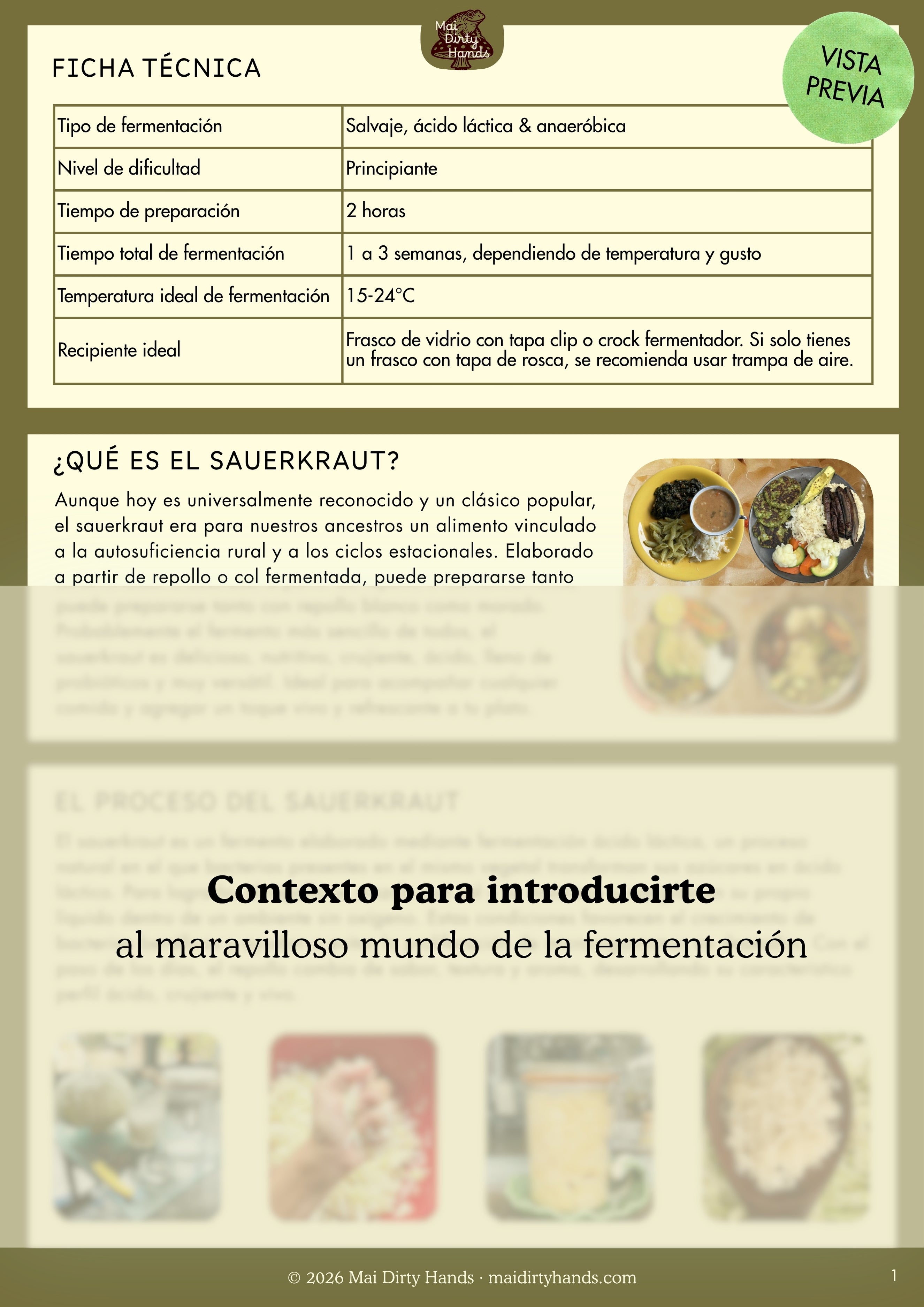 Guía práctica para fermentar sauerkraut