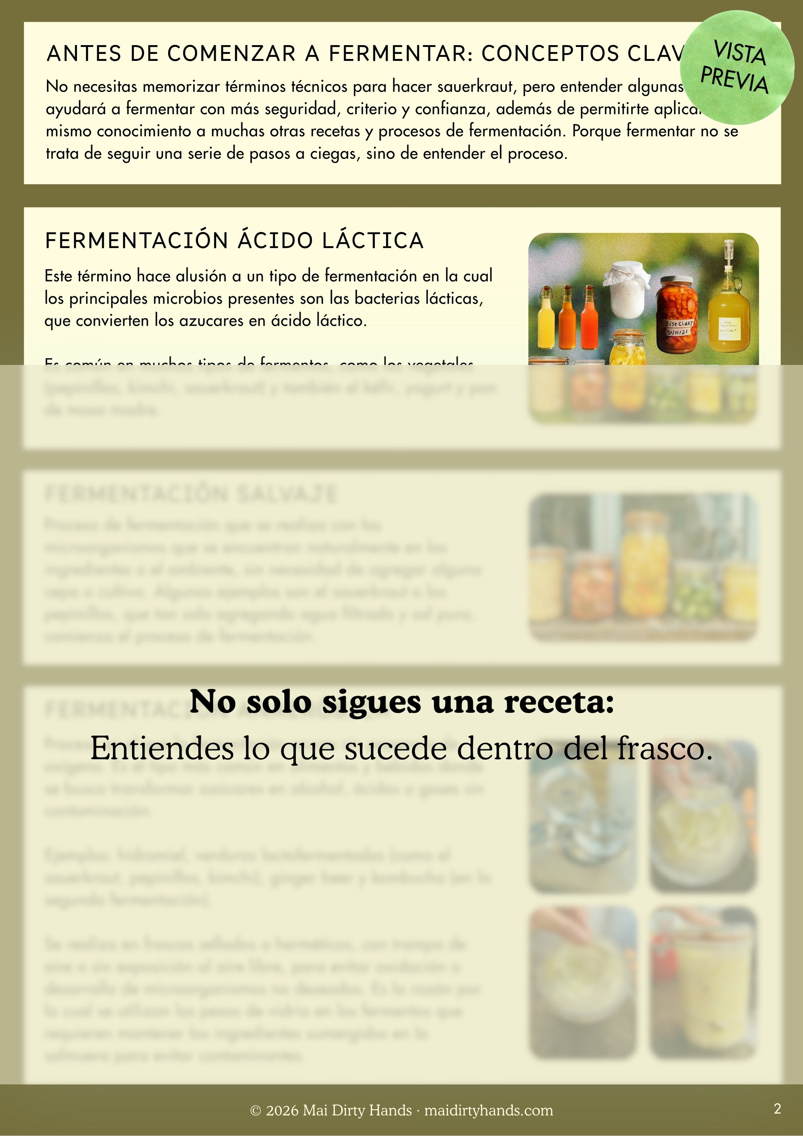 Guía práctica para fermentar sauerkraut
