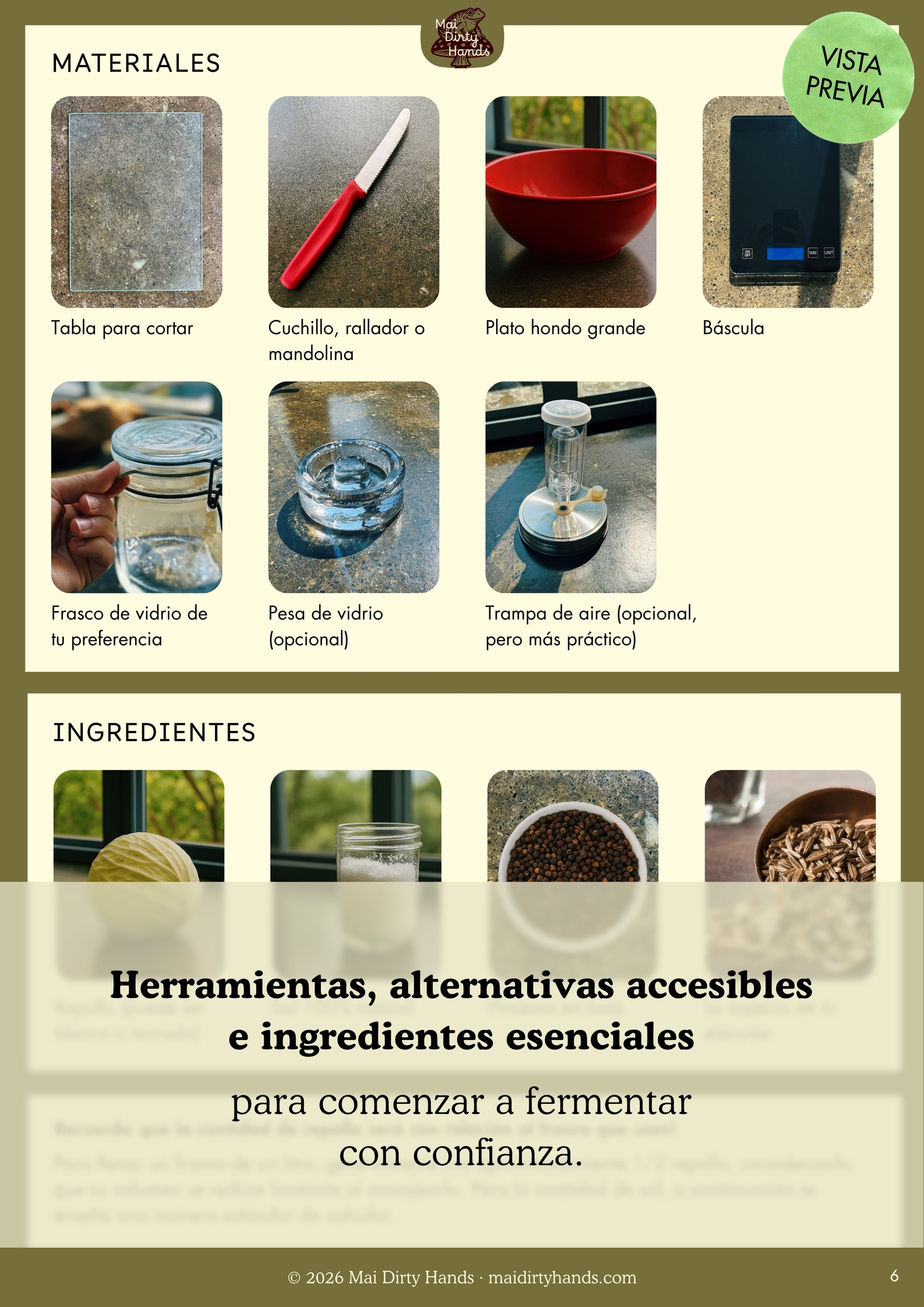 Guía práctica para fermentar sauerkraut