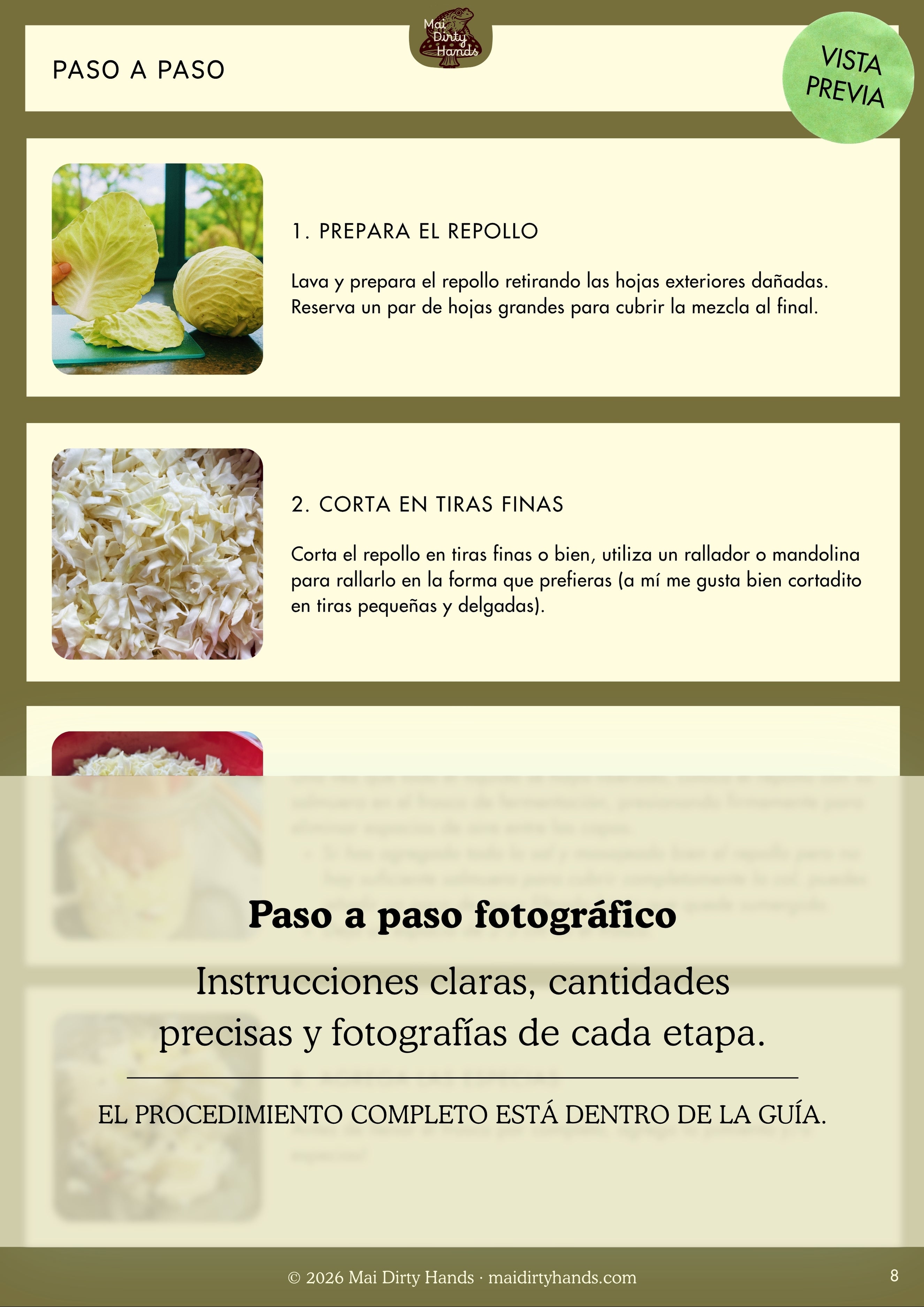 Guía práctica para fermentar sauerkraut