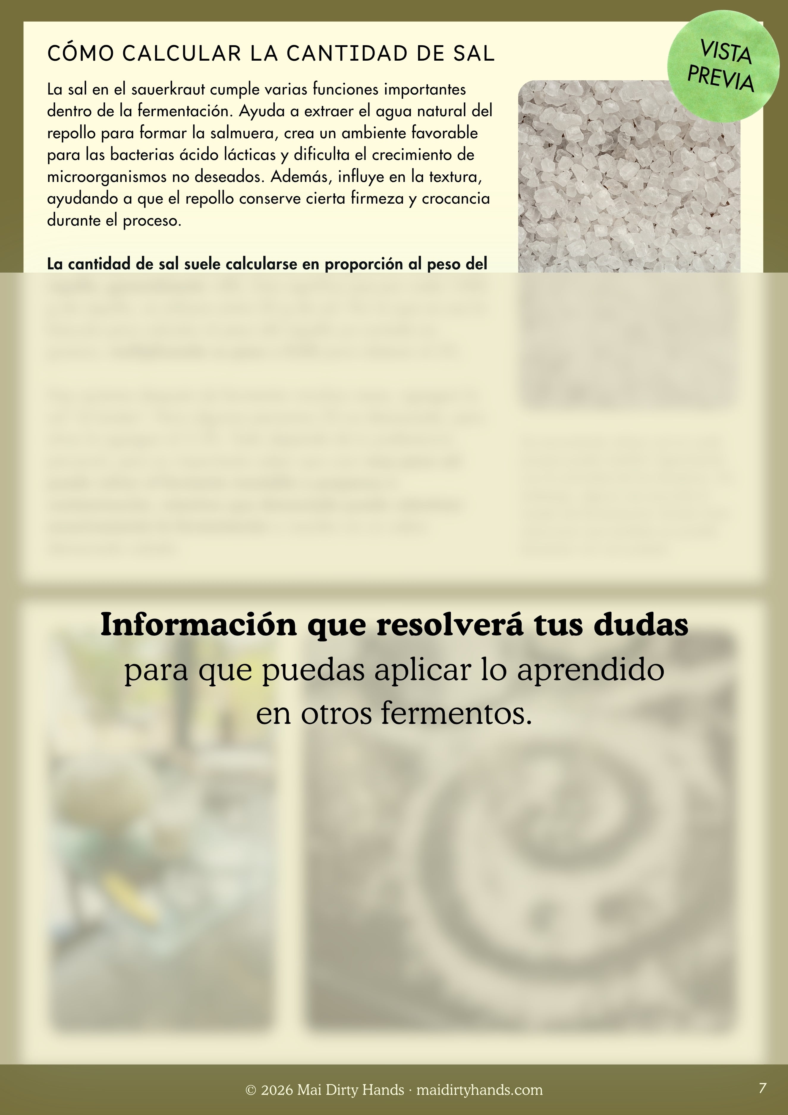 Guía práctica para fermentar sauerkraut