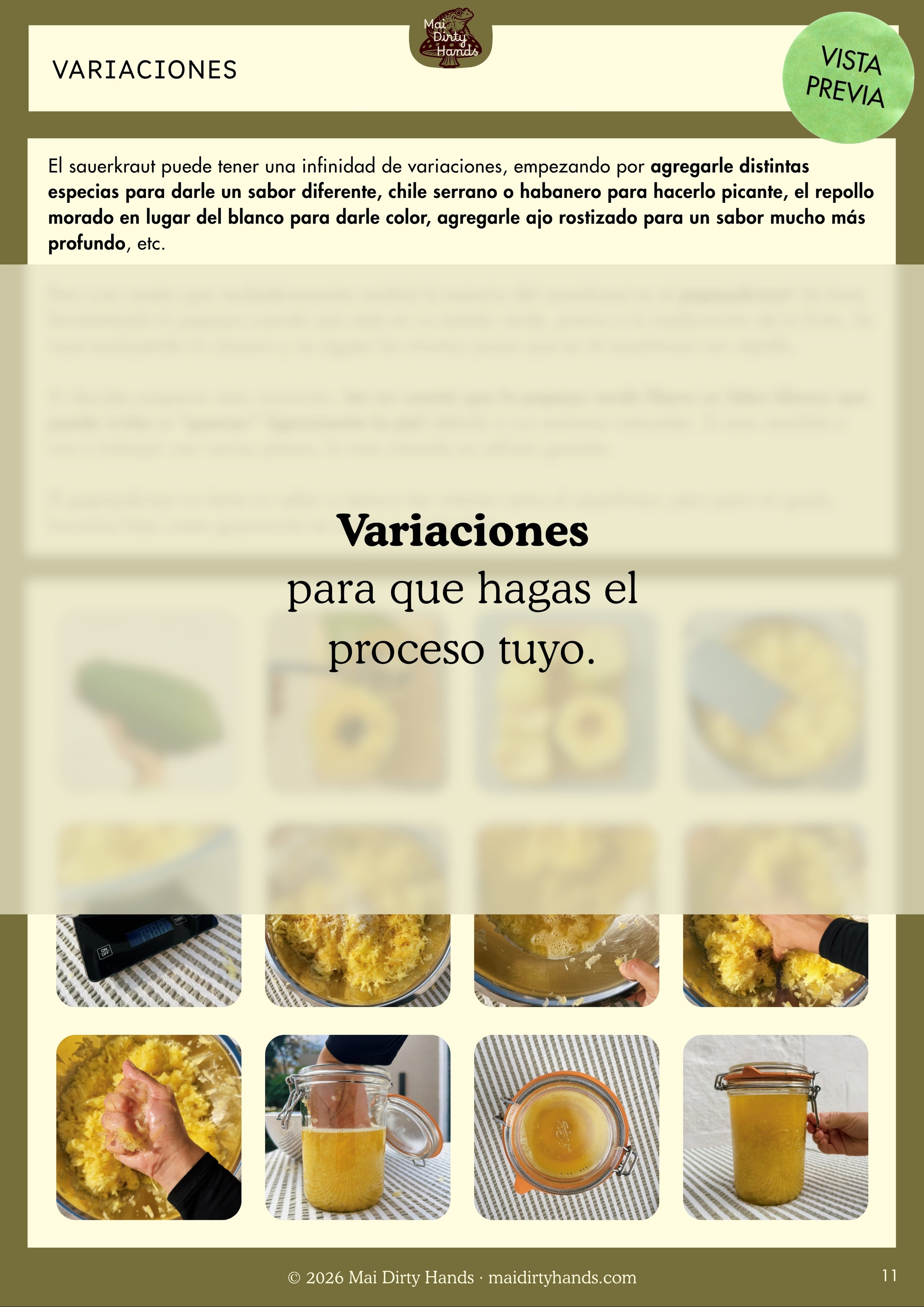 Guía práctica para fermentar sauerkraut