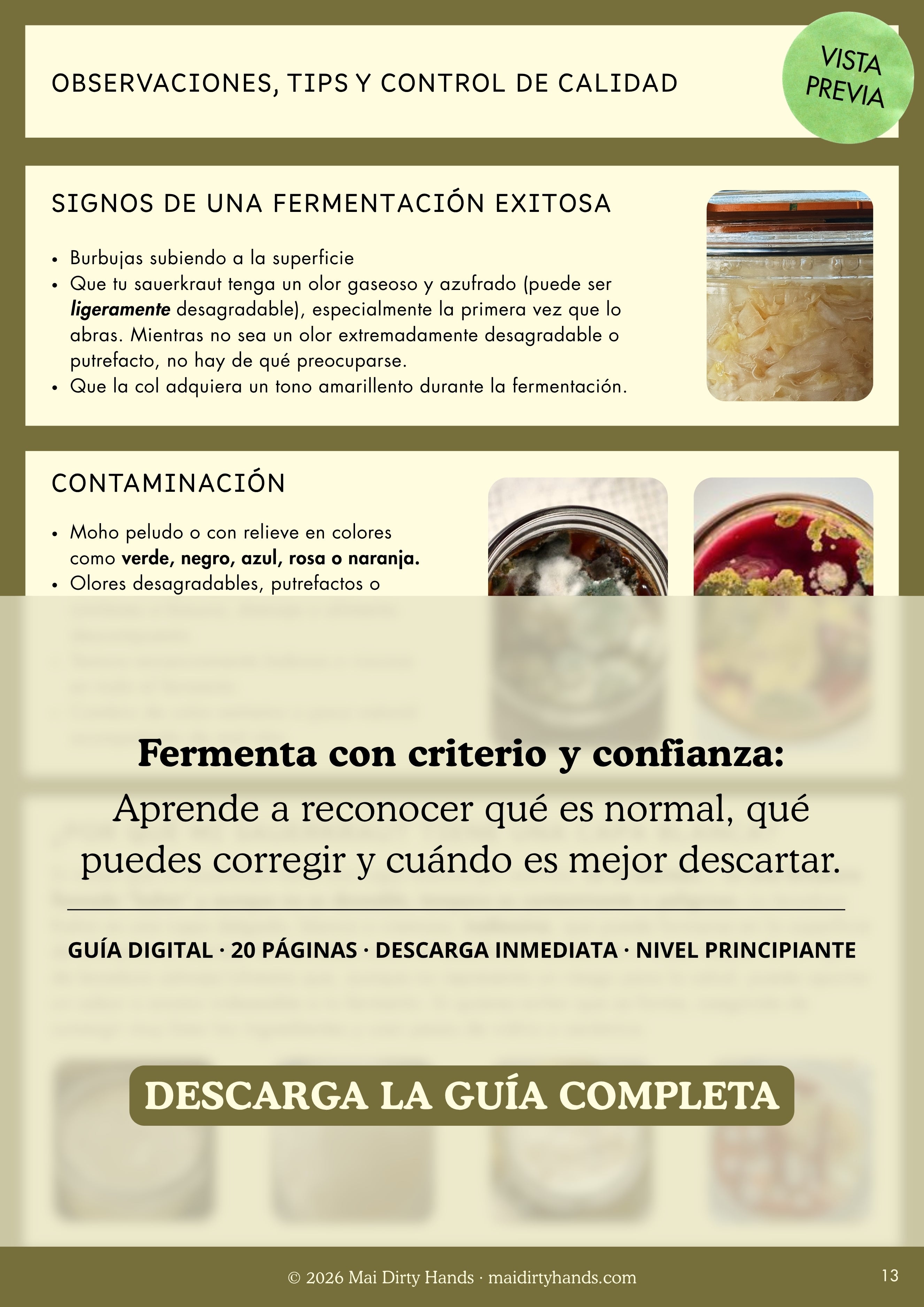 Guía práctica para fermentar sauerkraut