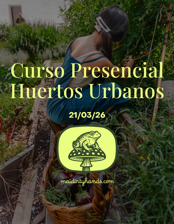 Curso Presencial: Huertos Urbanos