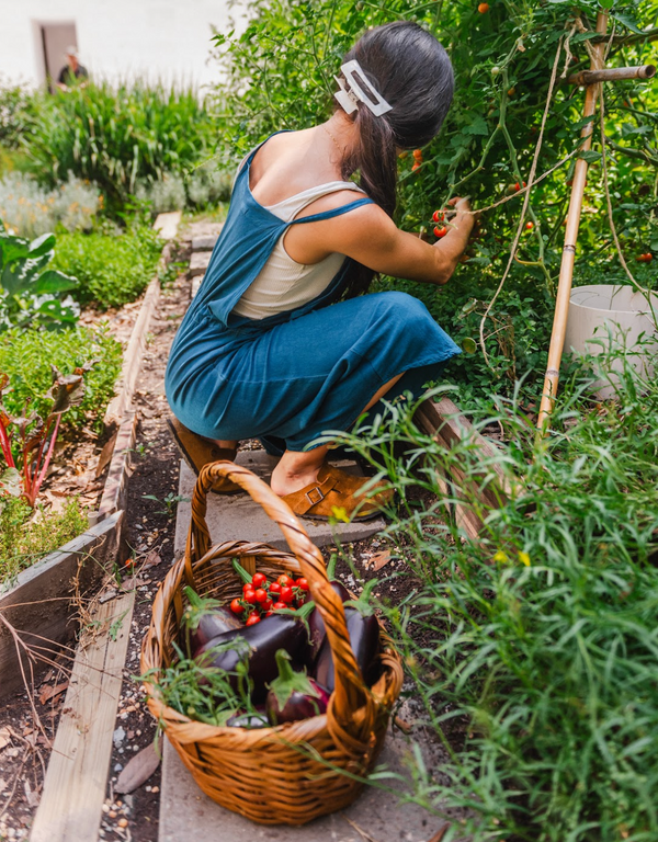 Planificador de Huertos - Mai Dirty Hands